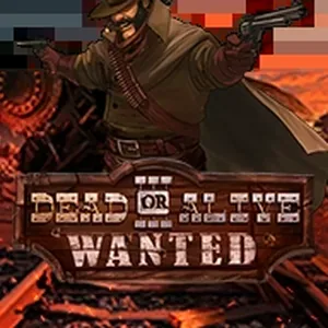 Dead or Alive 3 Wanted